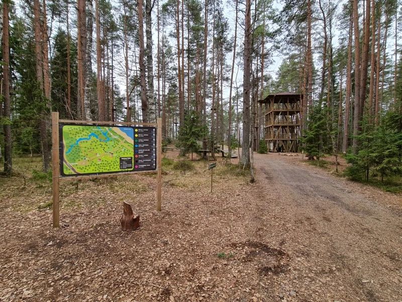 Территория верёвочного парка «Окуневая»